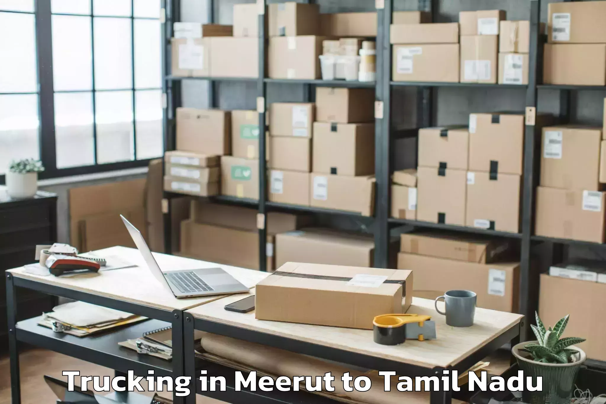 Top Meerut to Andippatti Trucking Available